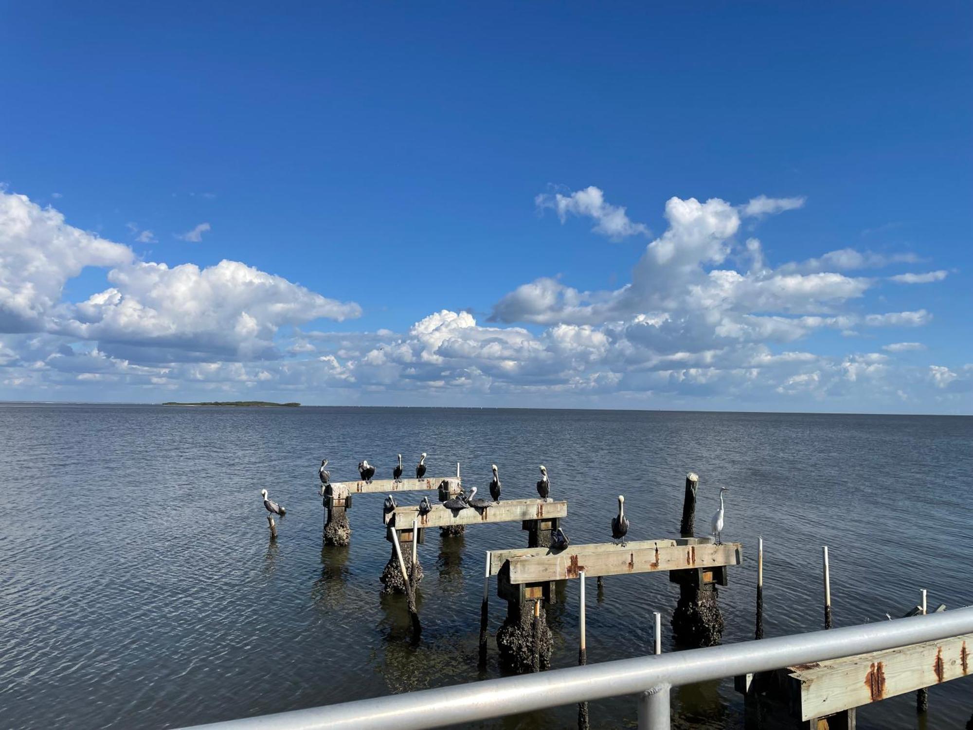 Cedar Key Florida Condo At Park Place Eksteriør bilde